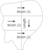 a diagram of a person's head