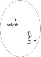 a white oval with black text and arrows