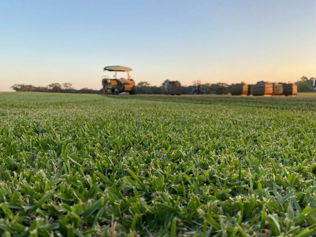 Turf Supplies Central Coast