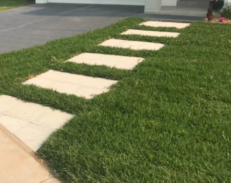 a stone path in the sir walter buffalo grass