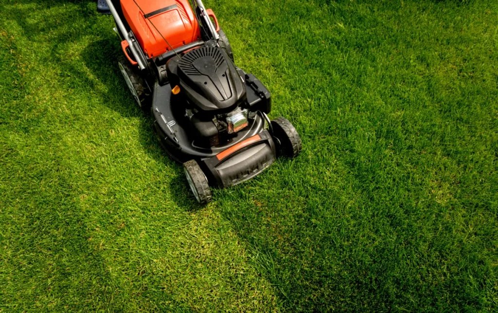 Peats Ridge Grass Mowing