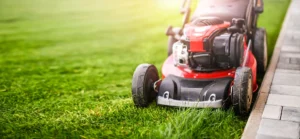 Best lawn mowing techniques