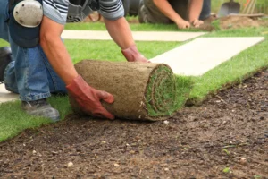 Natural Turf vs Artificial Turf: Which One Stands the Test of Time?