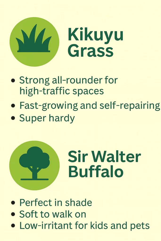 What turf varieties work best for commercial spaces