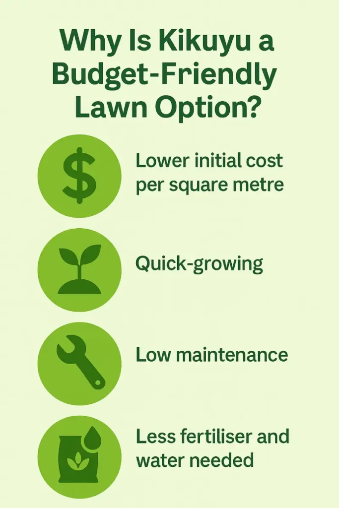 Why Is Kikuyu grass a Budget-Friendly