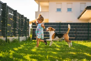 Best turf for kids and dogs