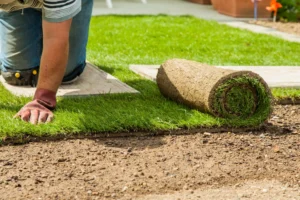 When Is the Best Time to Install Turf
