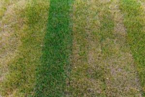 Turf Installation Mistakes